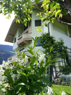 Отель Appartements St. Leonhard  Ашау, Циллерталь